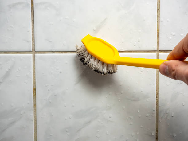 Best Kitchen Mold Remediation in Del City, OK