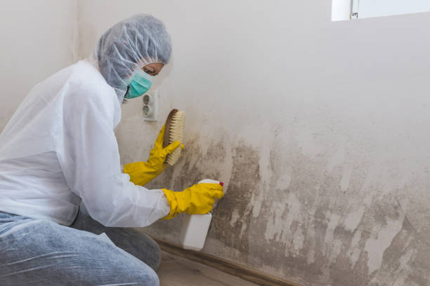 Best Bathroom Mold Remediation in Del City, OK