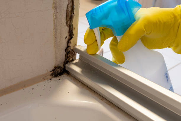 Best Industrial Mold Remediation in Del City, OK