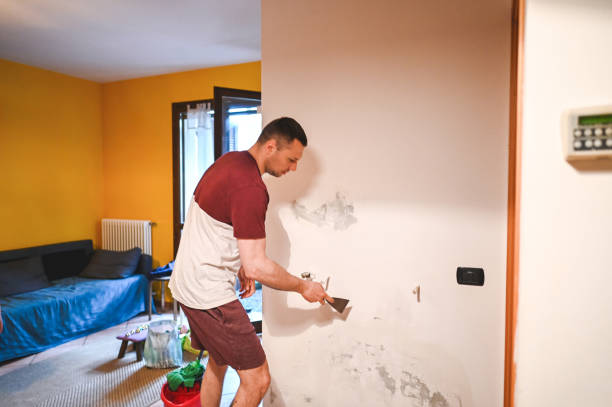 Best Health and Safety Mold Remediation in Del City, OK