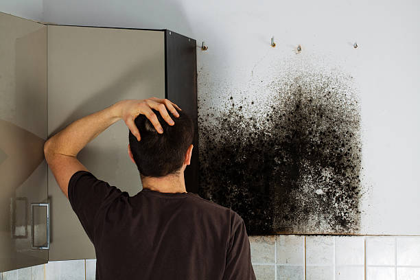 Reliable Del City, OK Mold Remediation Solutions