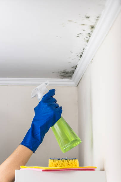 Best Mold Remediation for Specific Building Types in Del City, OK
